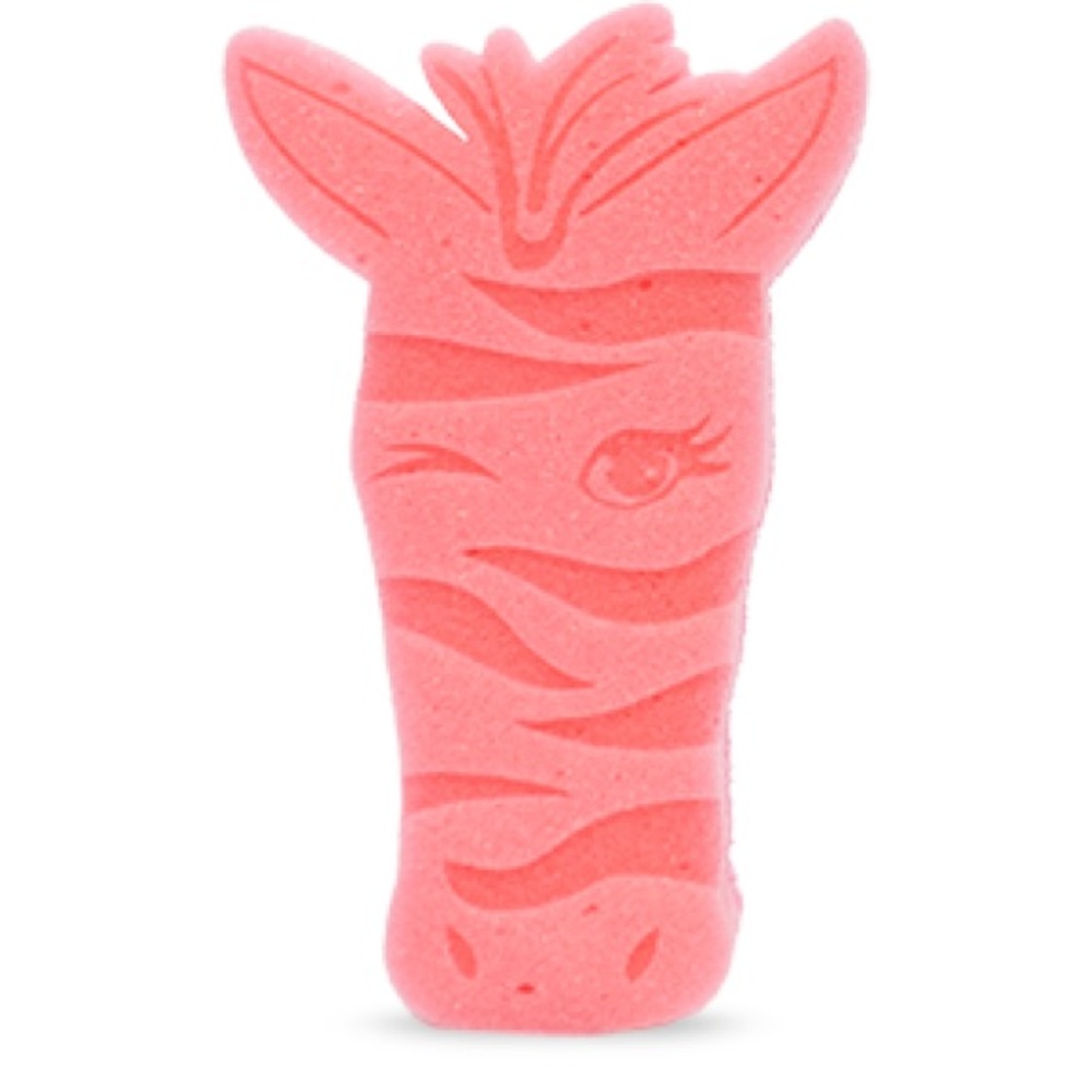 Pink Zebra Paisley Kitchen Scrub Sponge